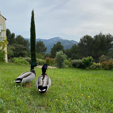 La Maison Perchée Auriol Exterior foto